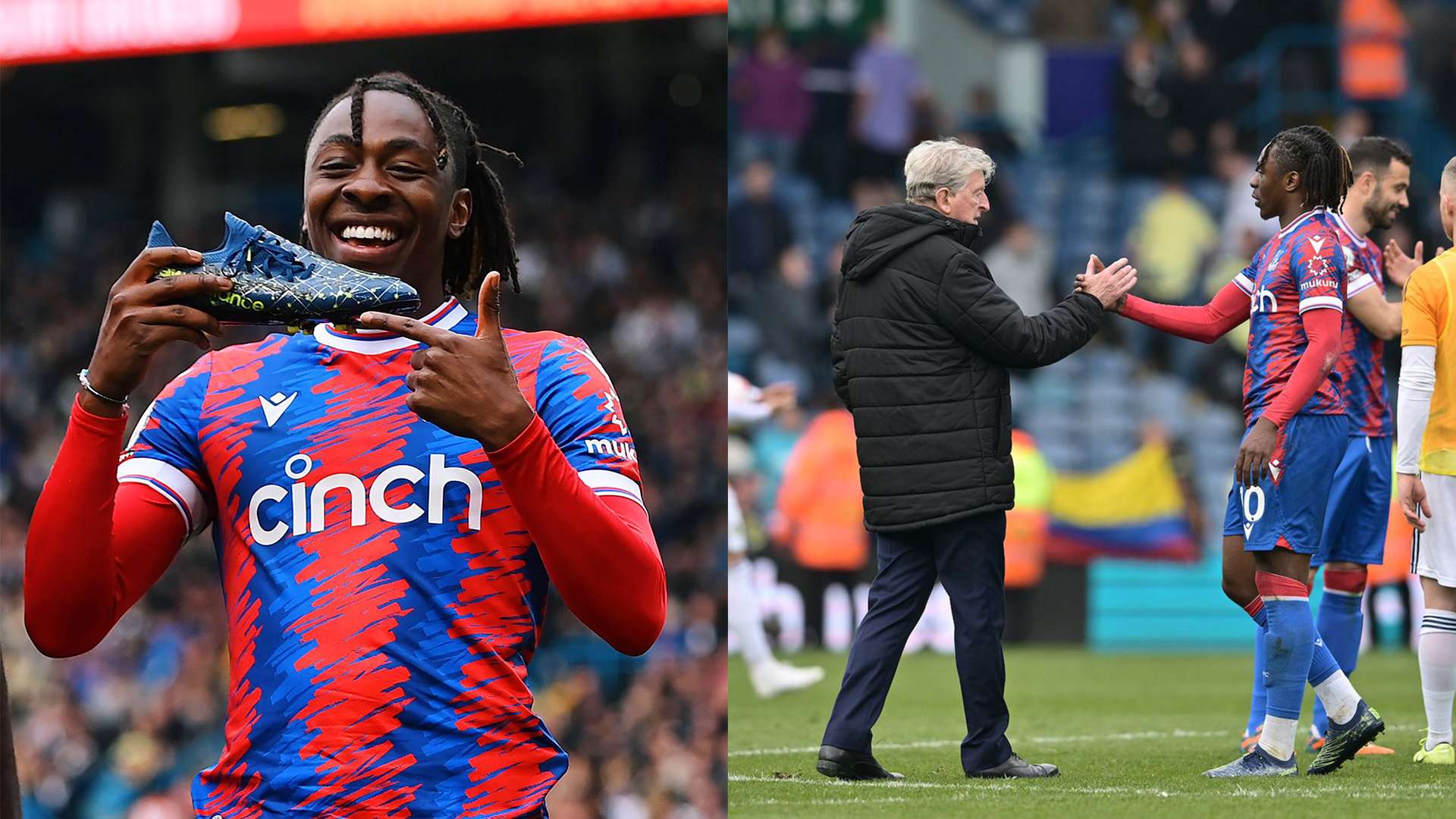 他们不仅在 他们不仅在