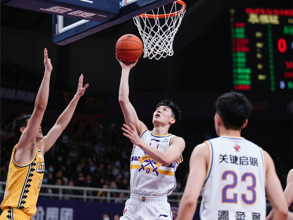 将如何影响 将如何影响